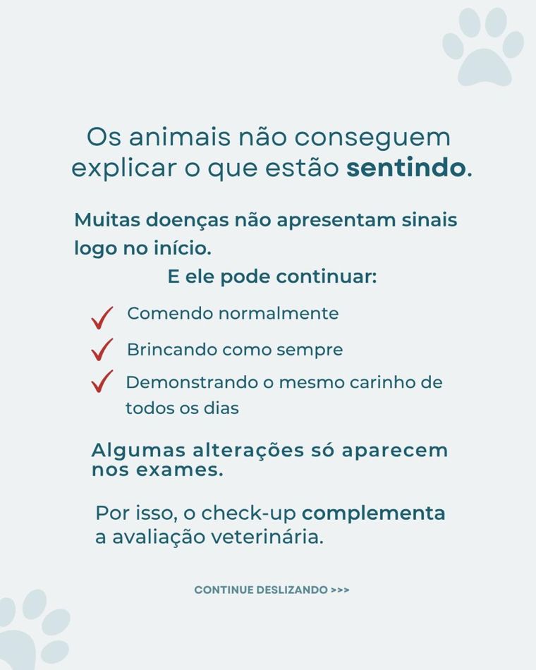 Slide: os animais não conseguem explicar o que estão sentindo