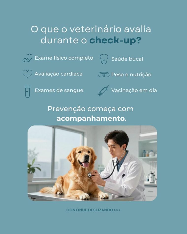 Slide: o que o veterinário avalia durante o check-up