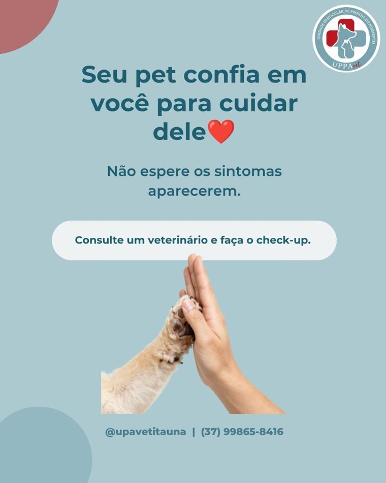 Slide final: consulte um veterinário e faça o check-up