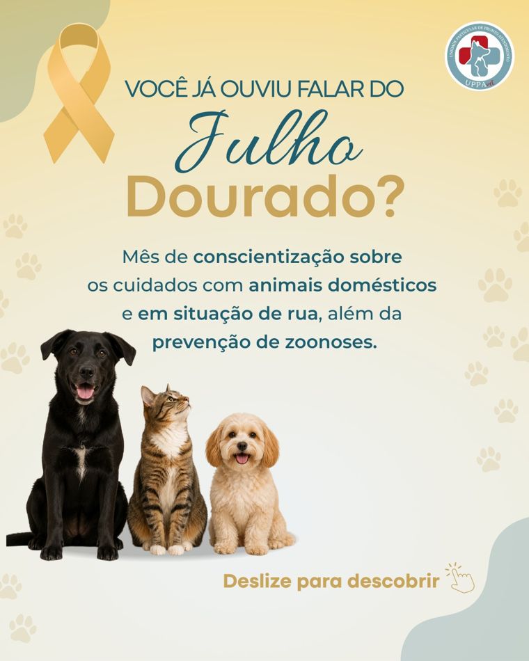 Capa do carrossel Julho Dourado
